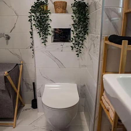 Apartmán Bozur/peony Novi Sad