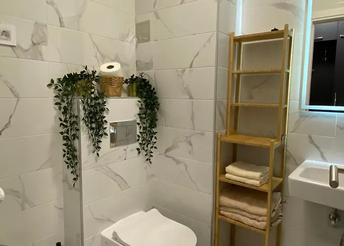 Bozur/peony * Novi Sad